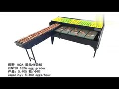 máy phân loại trứng